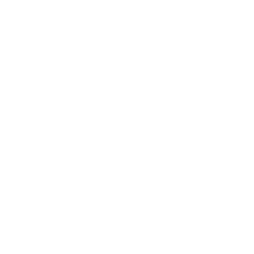 RoniQ AI logo